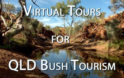 Unveiling the Wild: The Wonders of Virtual Tours for Bush Tourism in QLD