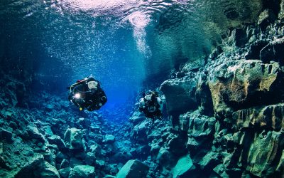 Bringing the Ocean to You: Innovative Marketing with Underwater Virtual Tours