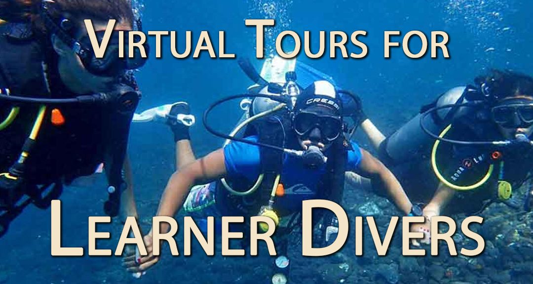 From Sofa to Sea: Why Virtual Tours are the Ultimate Gateway for Learner Scuba Divers