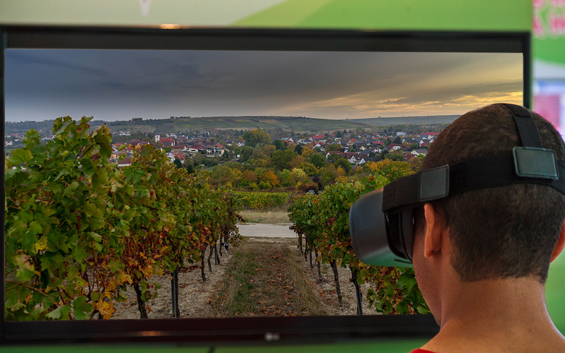 Uncorking Success: Winery Marketing with Virtual Tours