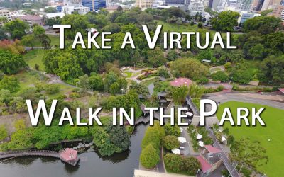 A Virtual Walk in the Park: How Digital Tours Enhance Parks & Botanical Gardens